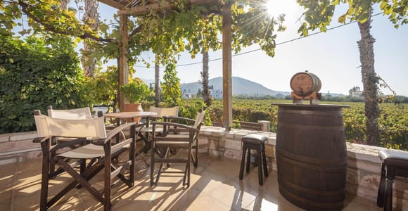 Kos: Wineries Tour w/ Wine Tastings & Transportation