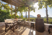 Kos, tour delle cantine con degustazioni di vino, pranzo e trasporti - Housity