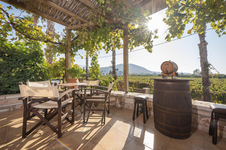 Esperienze gastronomiche a Kos