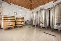 KOS, Wineries Tour met wijnproeverijen, lunch en transport - Housity