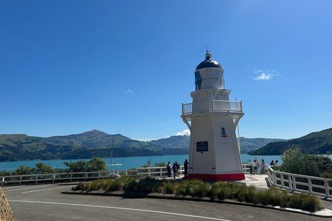From Christchurch: Akaroa Private Day Trip & Nature Cruise