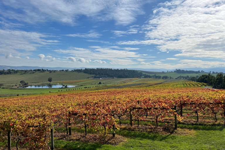 Melbourne: Yarra Valley Food and Wine Experience with Lunch