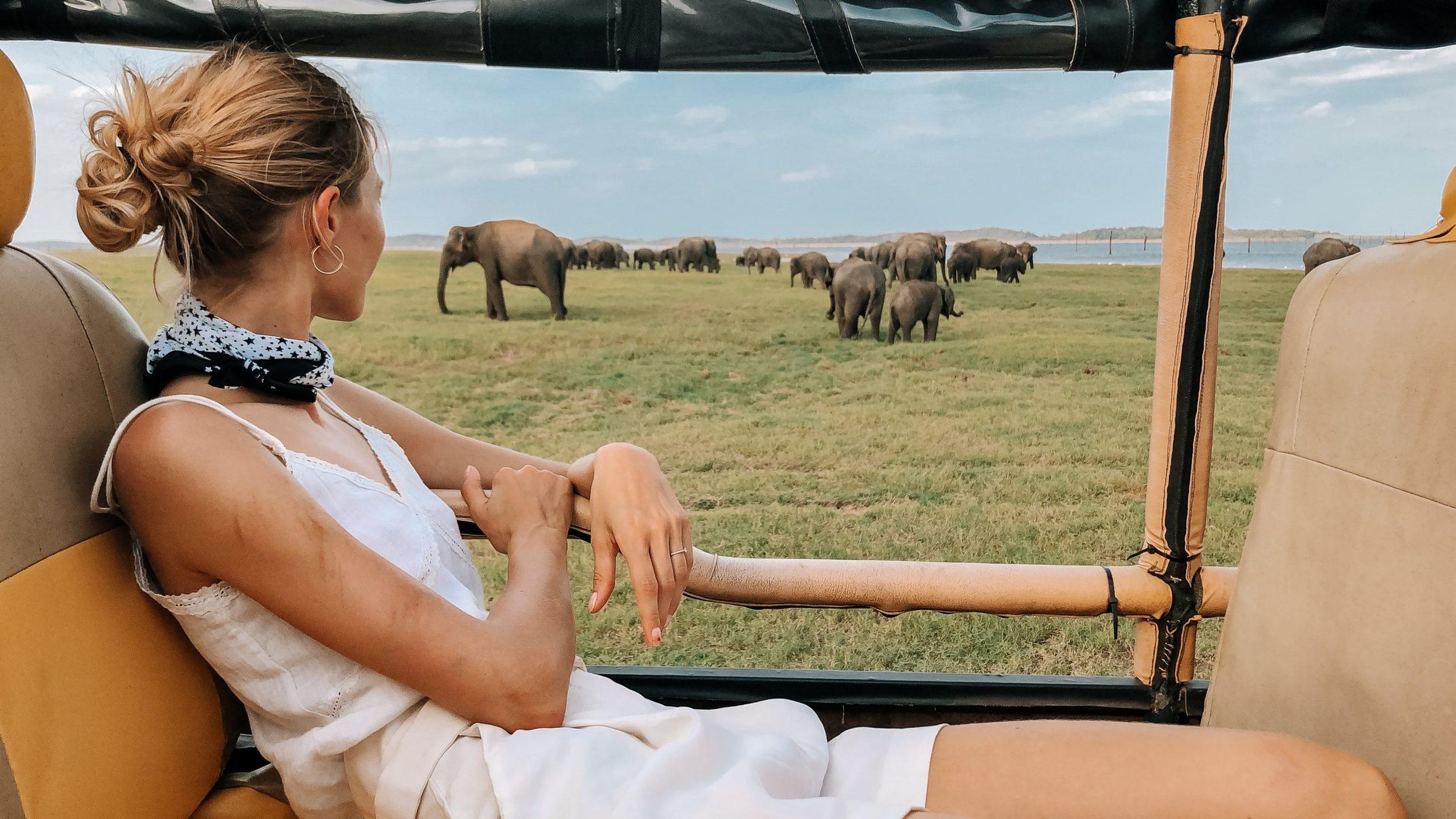 Minneriya National Park: Private Safari im Geländewagen