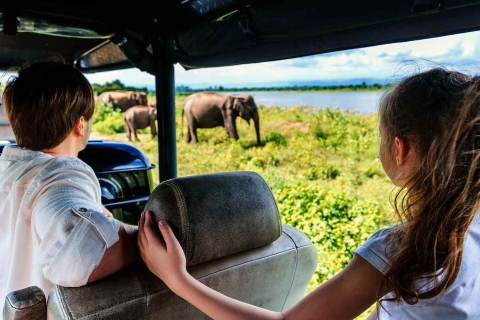 Minneriya : Safari dans le parc national de Minneriya