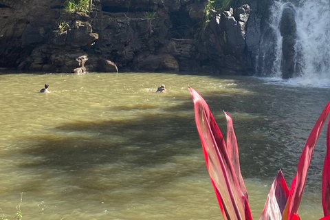 Oahu: Nado y Caminata por el Valle de las Cascadas de Waimea con Comida y DoleOahu Waimea Falls Senderismo y Natación