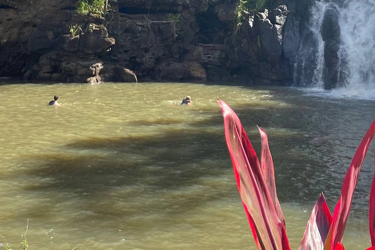 Oahu: Nado y Caminata por el Valle de las Cascadas de Waimea con Comida y DoleOahu Waimea Falls Senderismo y Natación