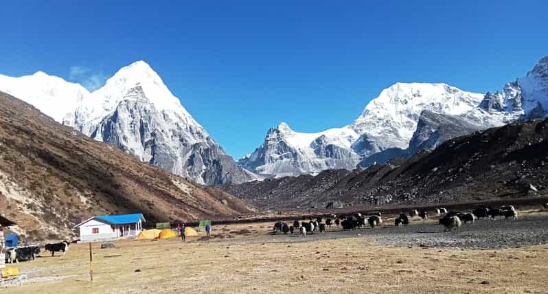Kanchenjunga Base Camp Trek | GetYourGuide