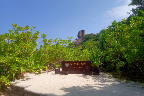 Early Bird Similan Islands 24 people MAXIMUM Similan Islands Snorkeling Trip by Speedboat