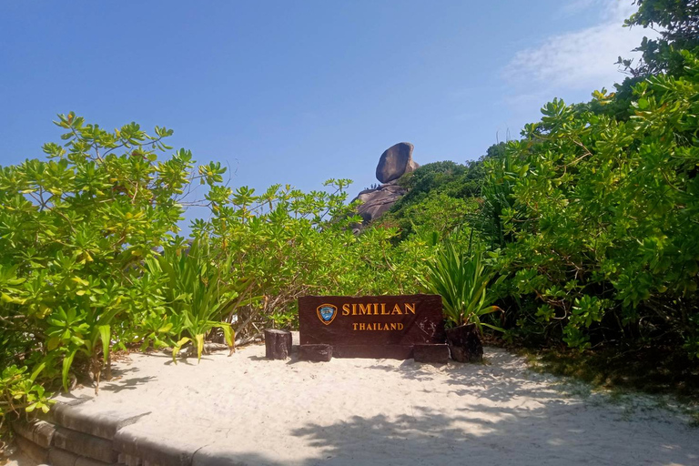 Early Bird Similan Islands 24 people MAXIMUM Similan Islands Snorkeling Trip by Speedboat