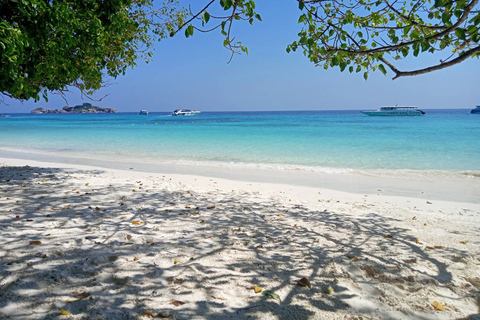 Early Bird Similan Islands 24 people MAXIMUM Similan Islands Snorkeling Trip by Speedboat