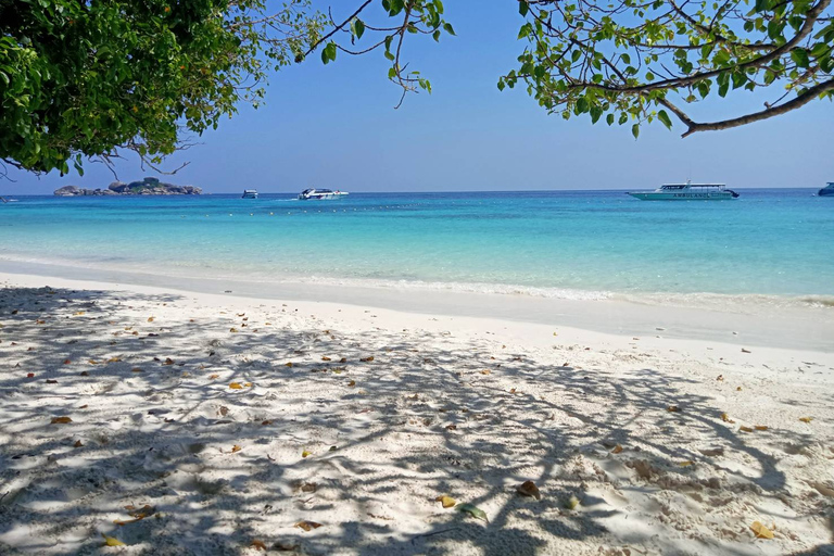 Early Bird Similan Islands 24 people MAXIMUM Similan Islands Snorkeling Trip by Speedboat