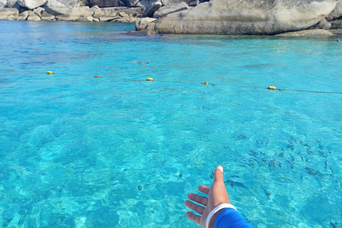 Early Bird Similan Islands 24 people MAXIMUM Similan Islands Snorkeling Trip by Speedboat