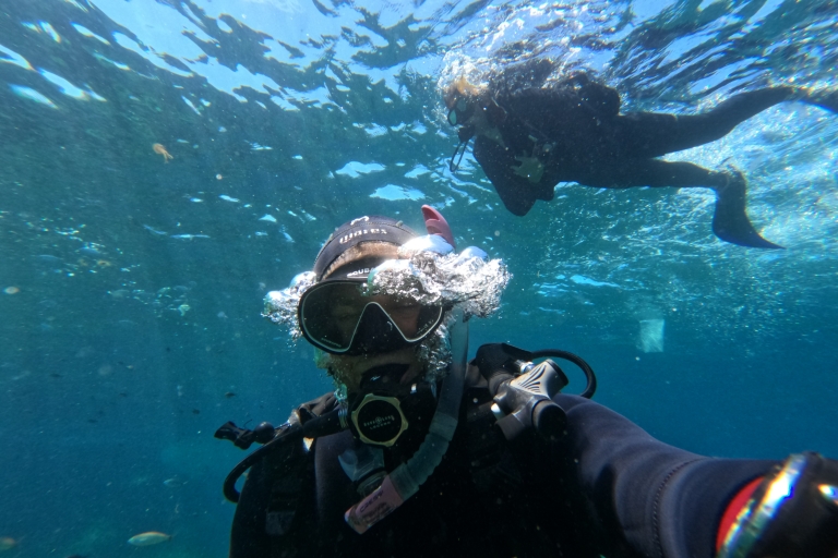 Paul's Bay : Cours de plongée sous-marine 1 jour