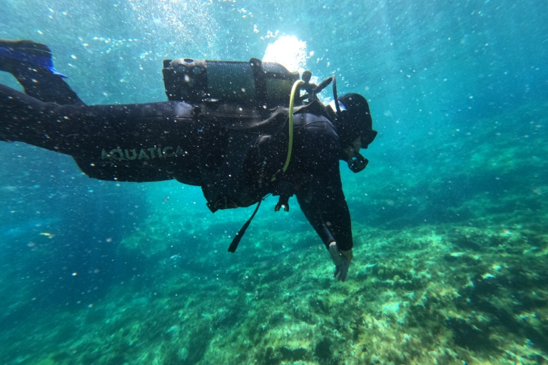 Paul's Bay : Cours de plongée sous-marine 1 jour