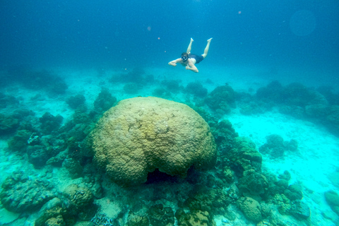 From Koh Lanta: Koh Haa & Koh Rok Snorkel Tour by Speedboat