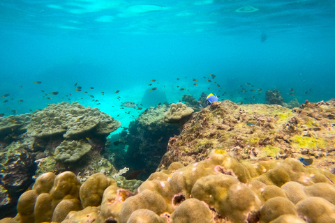 From Koh Lanta: Koh Haa & Koh Rok Snorkel Tour by Speedboat