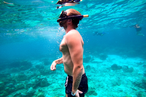 From Koh Lanta: Koh Haa & Koh Rok Snorkel Tour by Speedboat