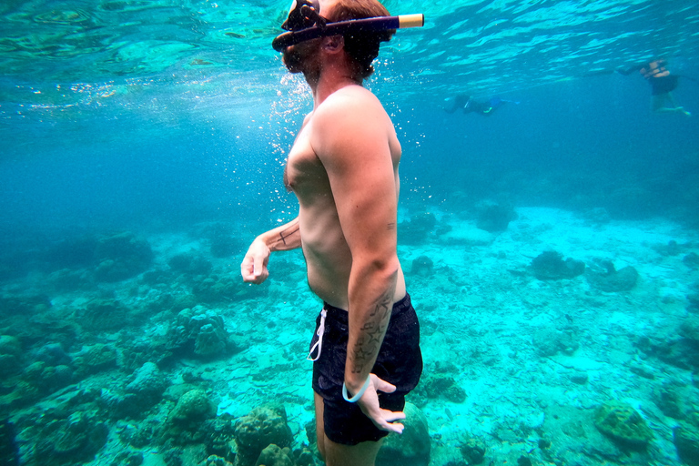 From Koh Lanta: Koh Haa & Koh Rok Snorkel Tour by Speedboat