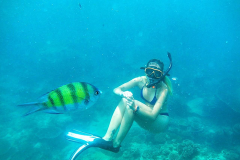 From Koh Lanta: Koh Haa & Koh Rok Snorkel Tour by Speedboat