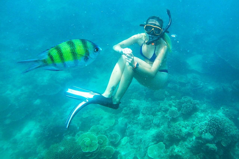 From Koh Lanta: Koh Haa & Koh Rok Snorkel Tour by Speedboat