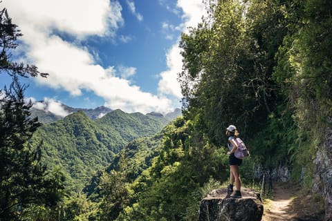Hiking levadas of Madeira: Levada do Rei