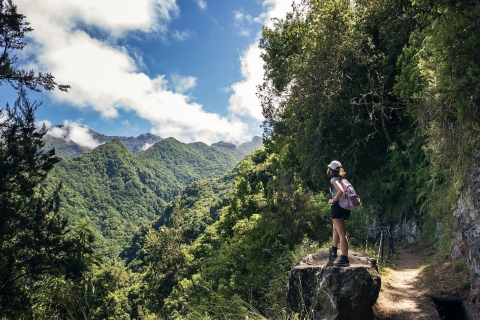 Madeira Adventure: Levada do Rei Madeira: Full-Day Walking Tour in the Laurisilva Forest