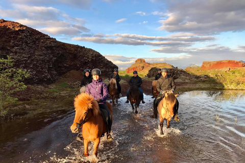 Excursión a caballo Sol de Medianoche en grupo reducido desde ReikiavikOpción Estándar