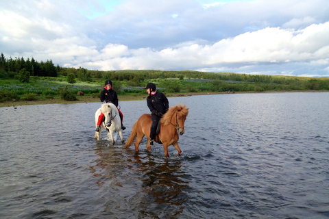 Excursion à cheval au soleil de minuit en petit groupe au départ de ReykjavikOption standard