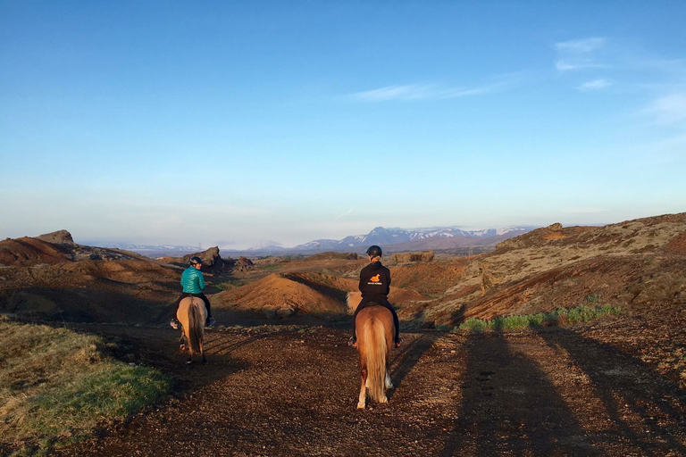 From Reykjavik: Evening Horseback Tour with TransferStandard Option