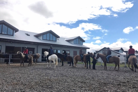 Excursion à cheval au soleil de minuit en petit groupe au départ de ReykjavikOption standard