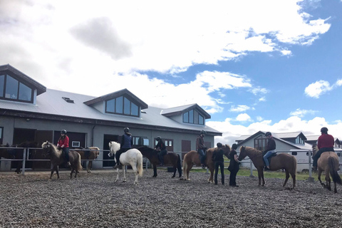 Excursión a caballo Sol de Medianoche en grupo reducido desde ReikiavikOpción Estándar