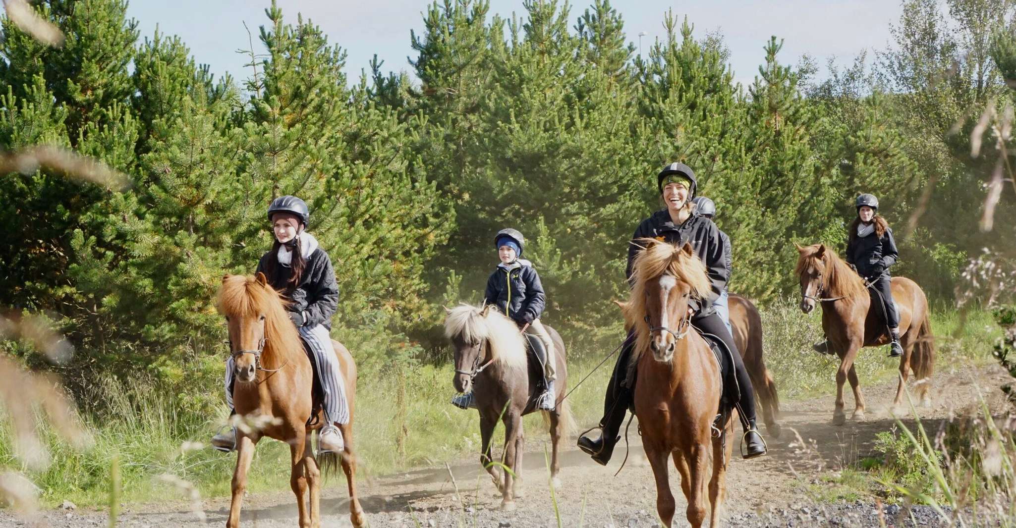 From Reykjavik, Small-Group Horse Riding Tour with Pickup - Housity