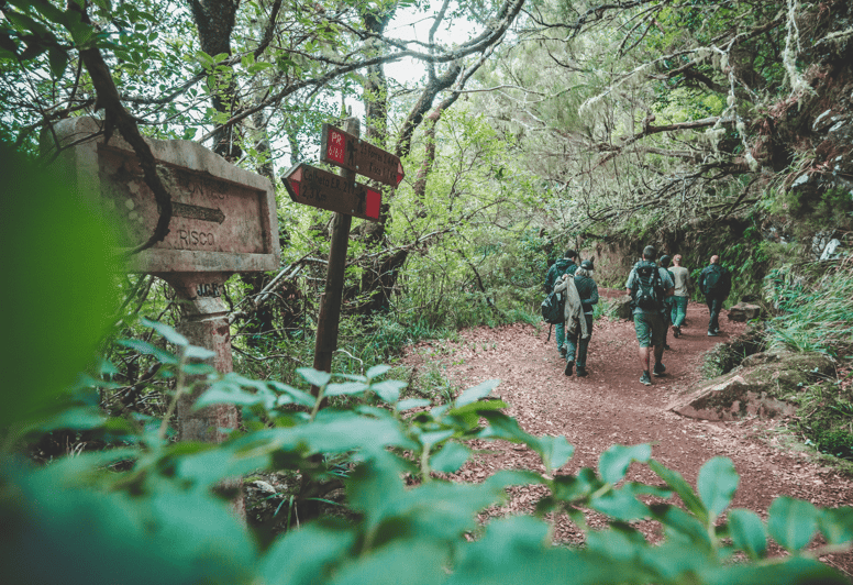 Madeira: Senderismo por el Valle de Rabaçal y las 25 Fuentes | GetYourGuide