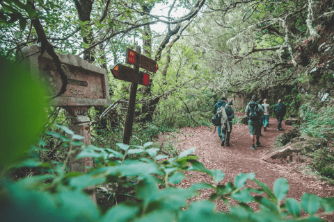 Madeira: Full-Day Rabaçal Valley Levada Walk