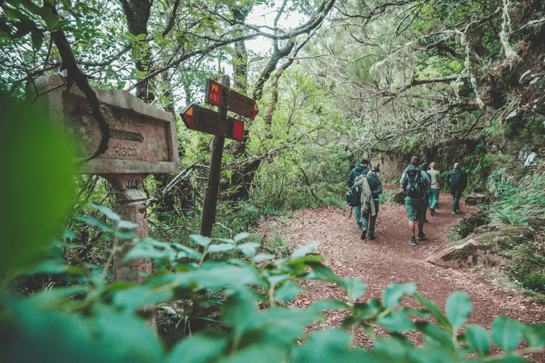 Madeira: Full-Day Rabaçal Valley Levada Walk