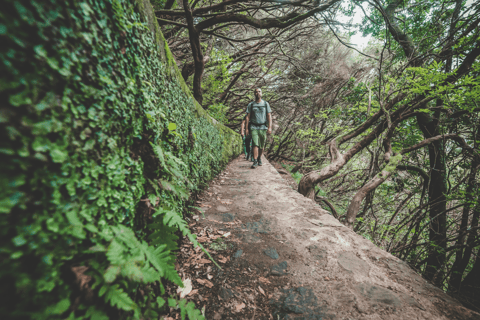 Madeira: Full-Day Rabaçal Valley Levada Walk