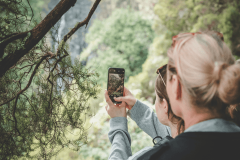 Madeira: Full-Day Rabaçal Valley Levada Walk