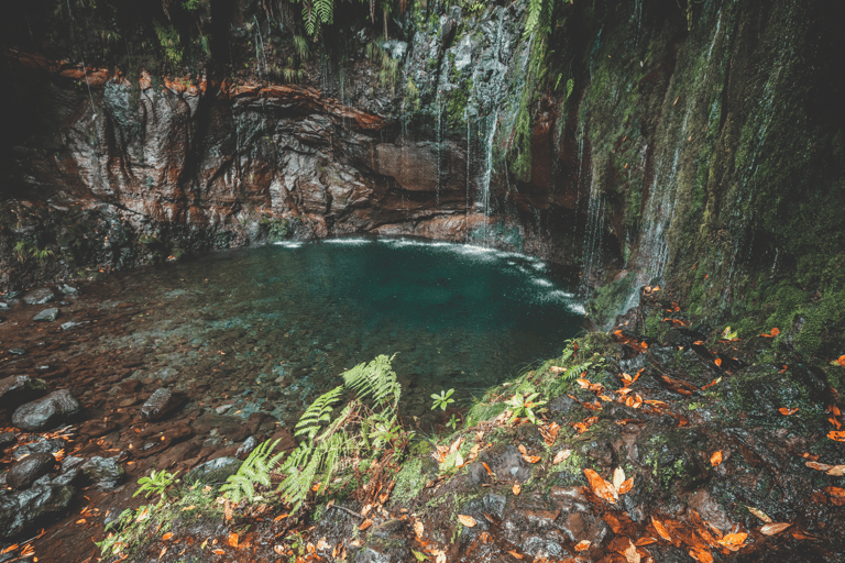 Madeira: Full-Day Rabaçal Valley Levada Walk