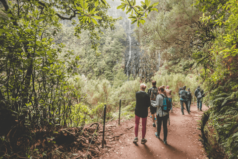 Madeira: Full-Day Rabaçal Valley Levada Walk