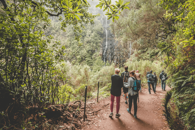 Madeira: Full-Day Rabaçal Valley Levada Walk