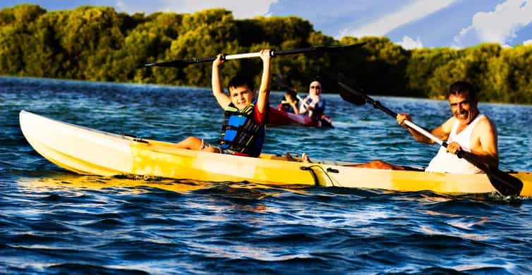 Kayak Mangrove Tour | GetYourGuide