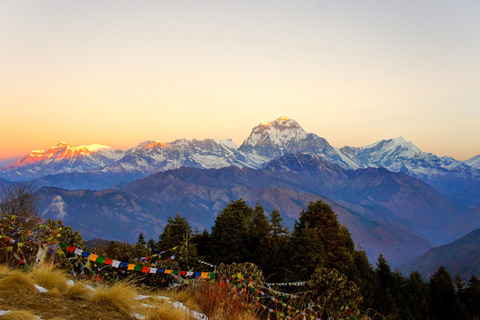 3 dni Poon Hill Trek z Alpine Eco Trek3 dni krótkich i łatwych wakacji