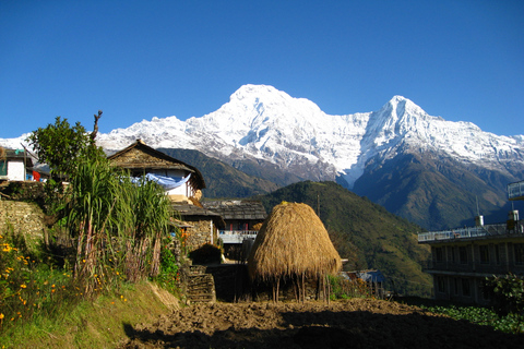 3 jours de randonnée à Poon Hill avec Alpine Eco Trek3 jours de vacances courtes et faciles