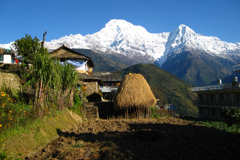 3 dni Poon Hill Trek z Alpine Eco Trek3 dni krótkich i łatwych wakacji