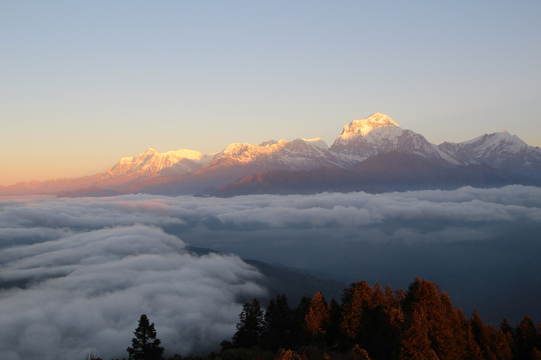 3 dni Poon Hill Trek z Alpine Eco Trek3 dni krótkich i łatwych wakacji