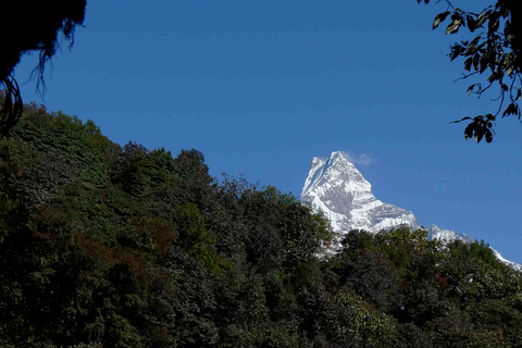 3 dni Poon Hill Trek z Alpine Eco Trek3 dni krótkich i łatwych wakacji