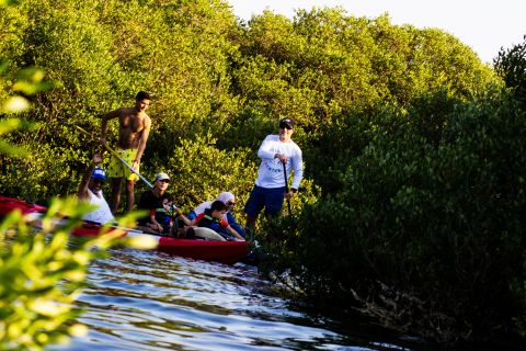 Umm al Quwain: Kayak Mangrove Tour