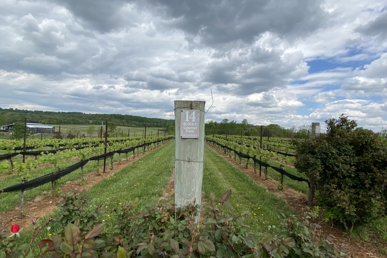 Visite des vignobles de Virginie : Découvrez les vignobles de Virginie