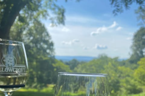 Virginia Wineries Tours: Experience Virginia Wineries
