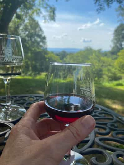 Virginia Wineries Tours: Experience Virginia Wineries | GetYourGuide